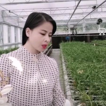 献芳兰园