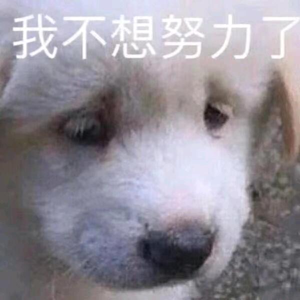 _(•̀ω•́ 」∠)_