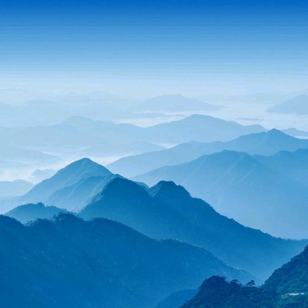 老杨不老