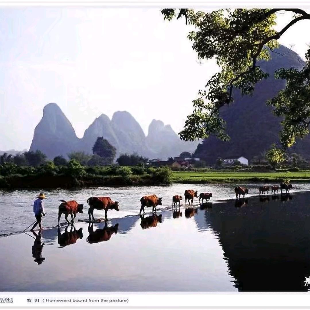 狼烟风沙起
