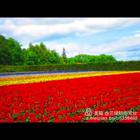 固始菜馆