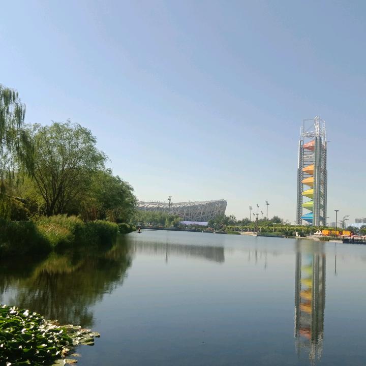 杨永杰