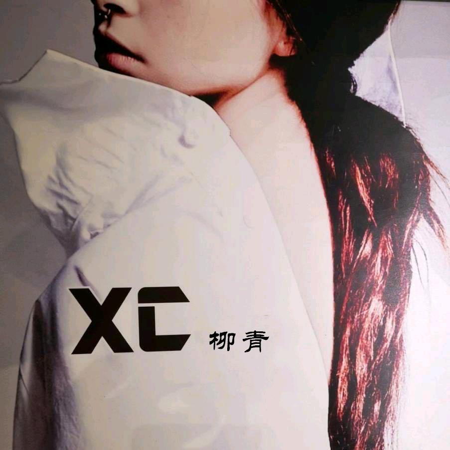 XC柳青
