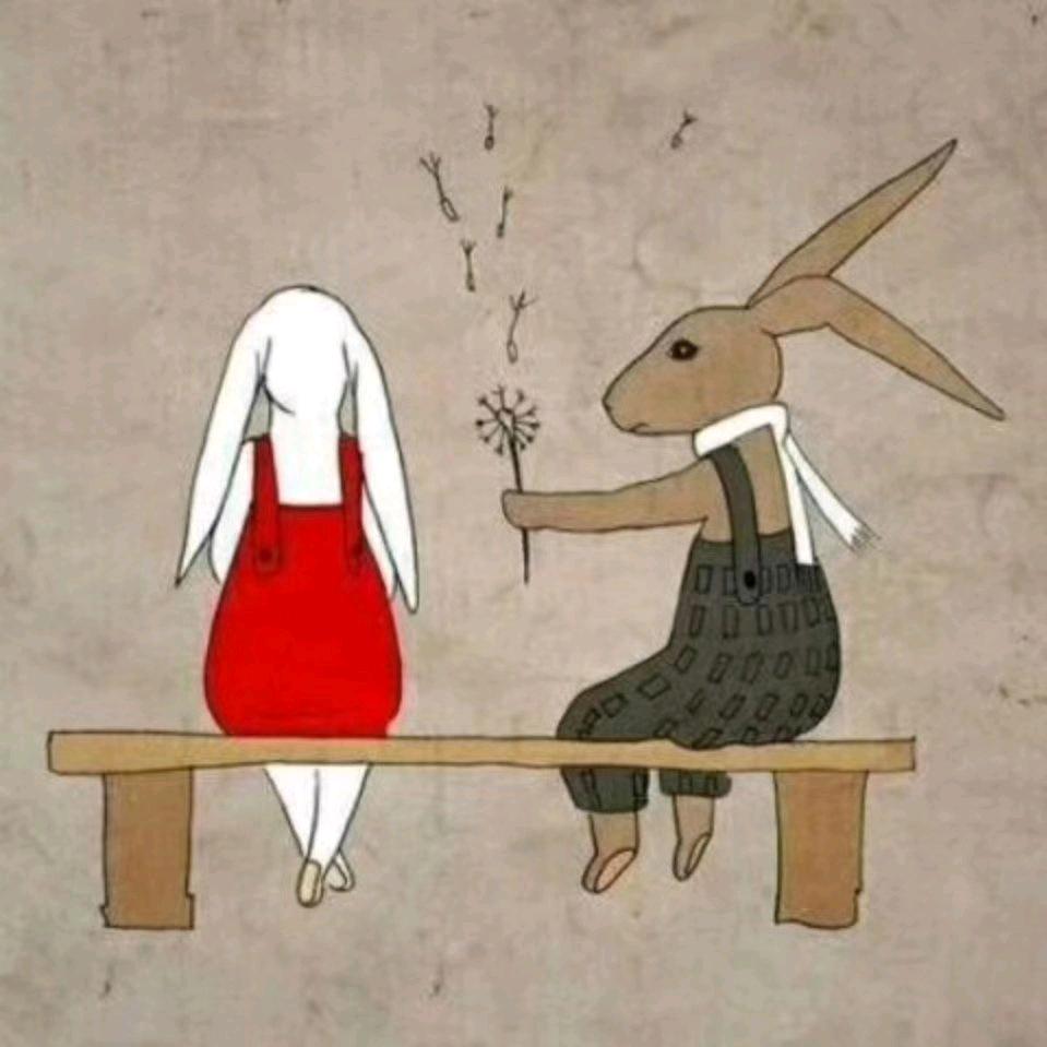 风生水起●)o(●
