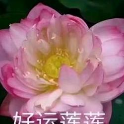 蒋姐