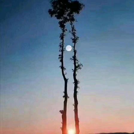 江苏汇力玻璃科技有限公司