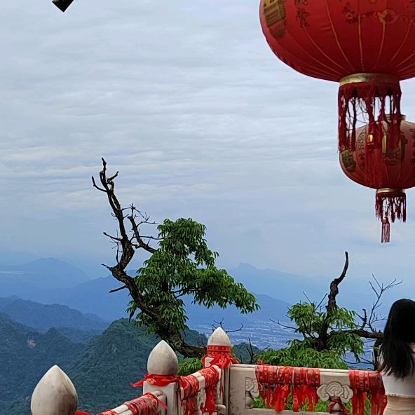 🍀岁月静好☘️