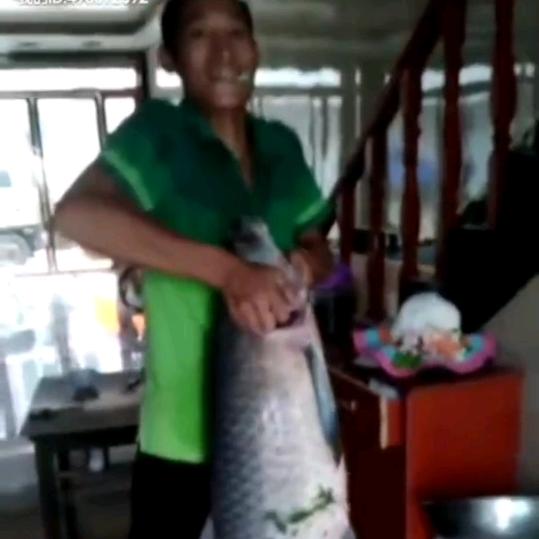 垂岗乡好德装潢公司轻松渔具，