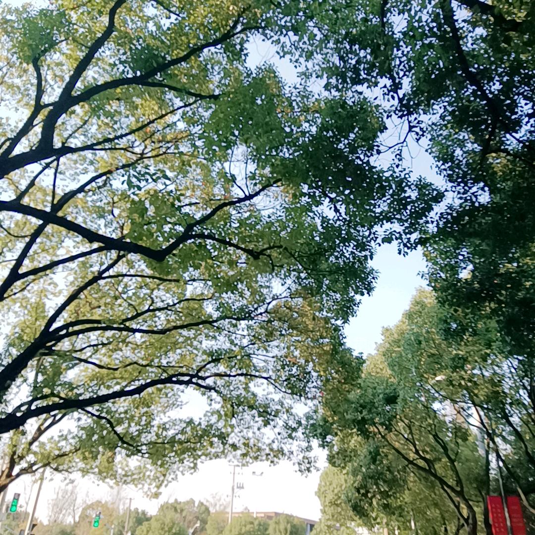 心玉