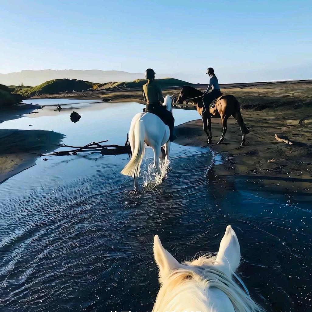 躺营室内露营酒吧