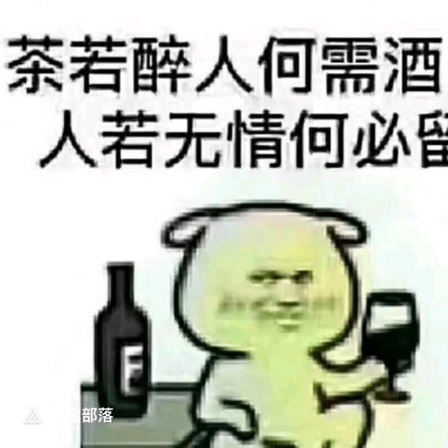 丈母娘的女婿