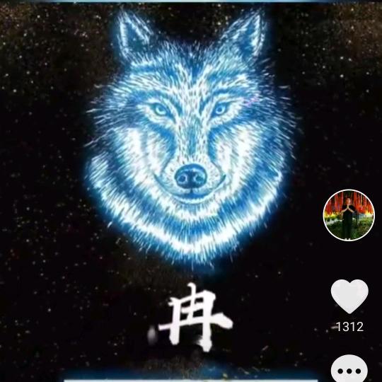 疾风劲草