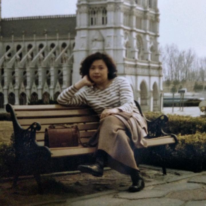 ping jie
