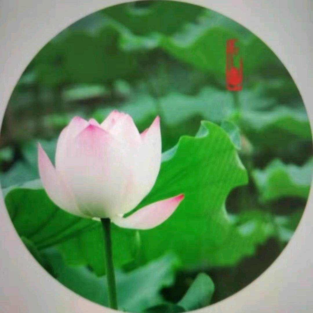 用户阿龙
