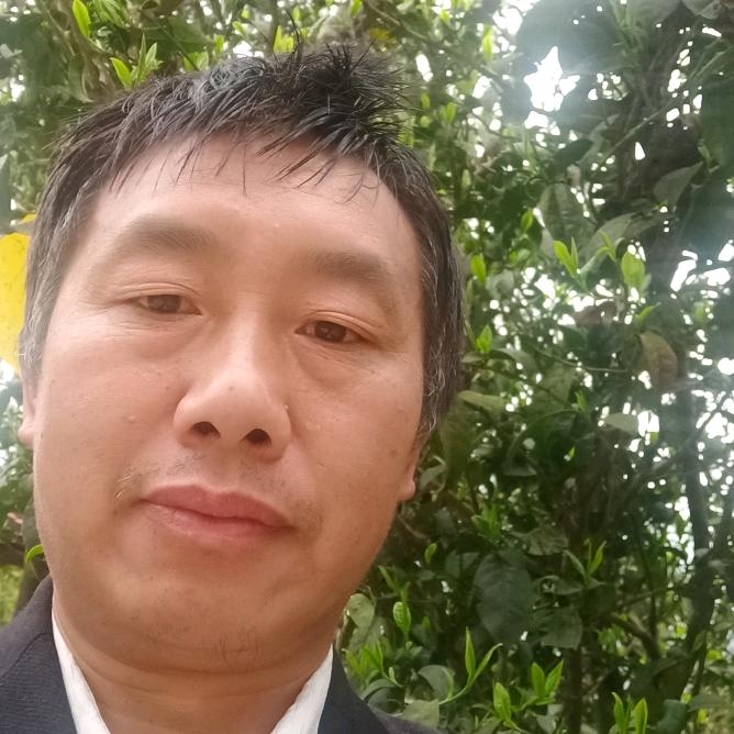 土蜂养殖