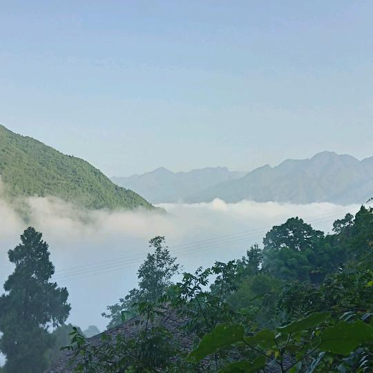 梦回唐朝