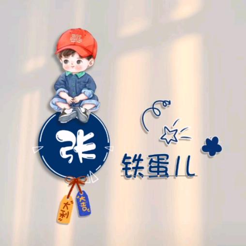 张铁蛋儿