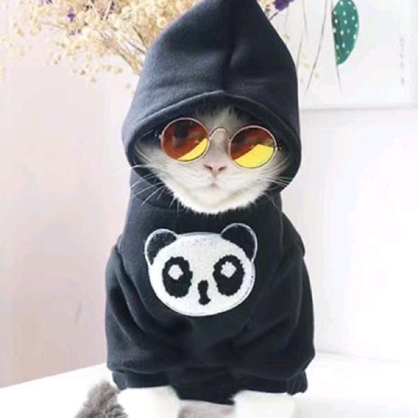 CF无臂沐阳