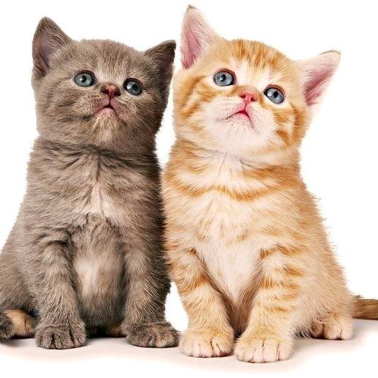 唯一☘️☘️☘️