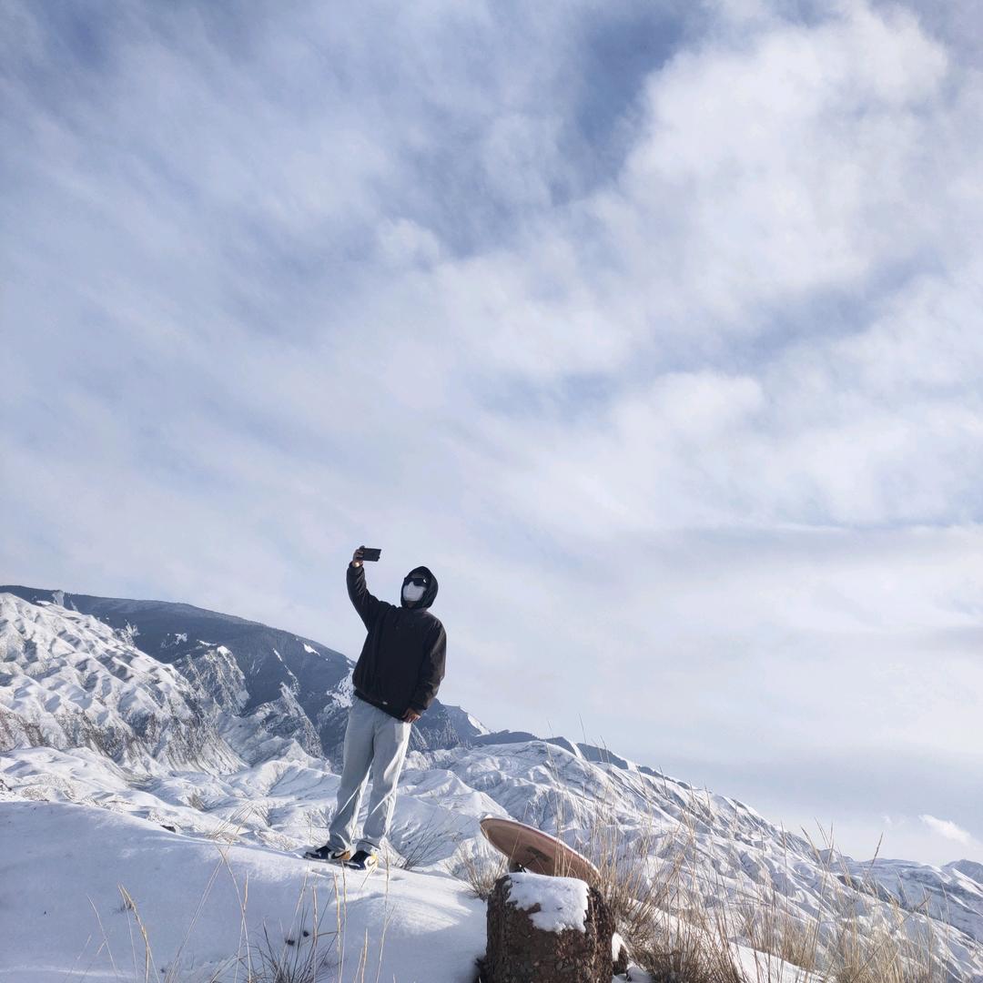 小雷的一生Memories