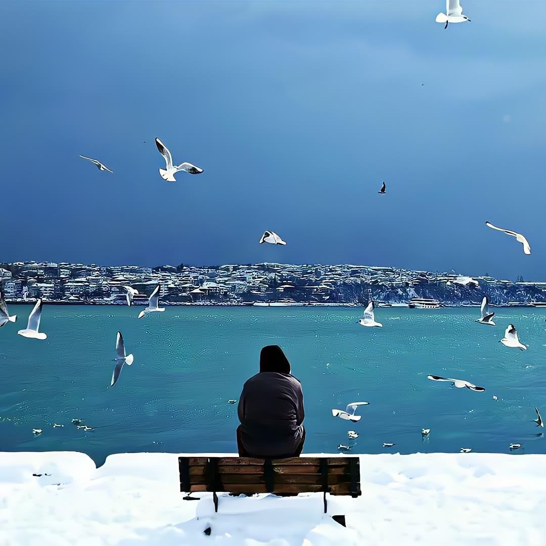 阿切█▞▙▛▖▜▖▗▝▖▜▖▗ ▞▙▛▖