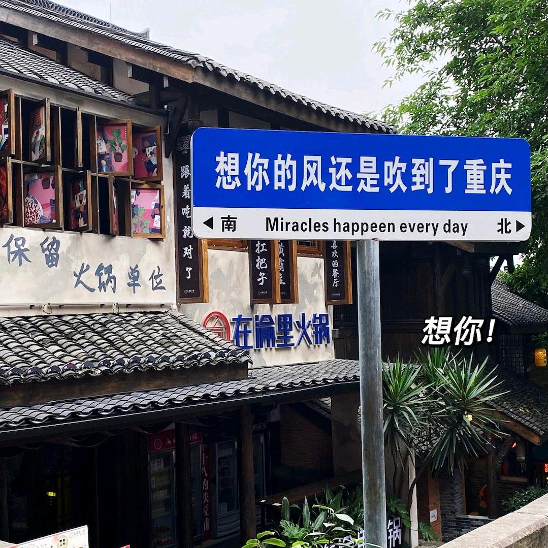 飞鸟和蝉蛹