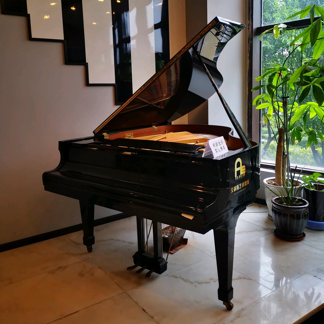 泸州艾利斯琴行