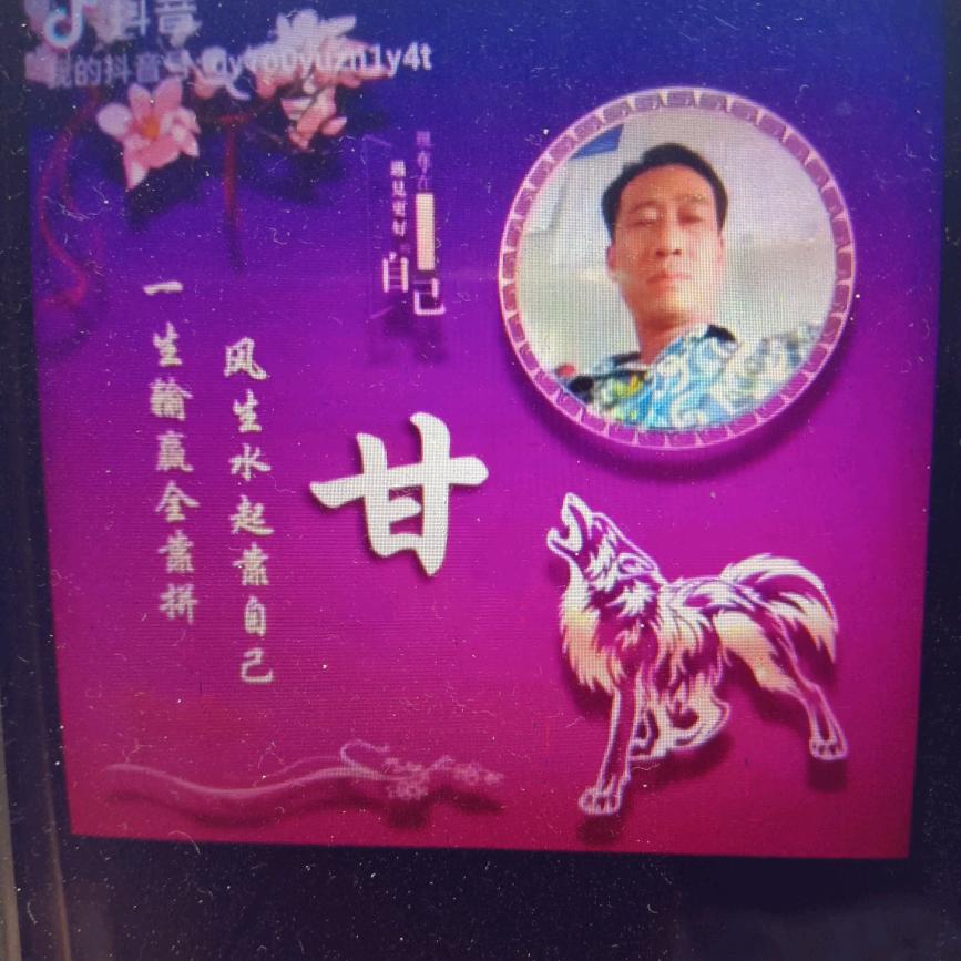 四哥甘