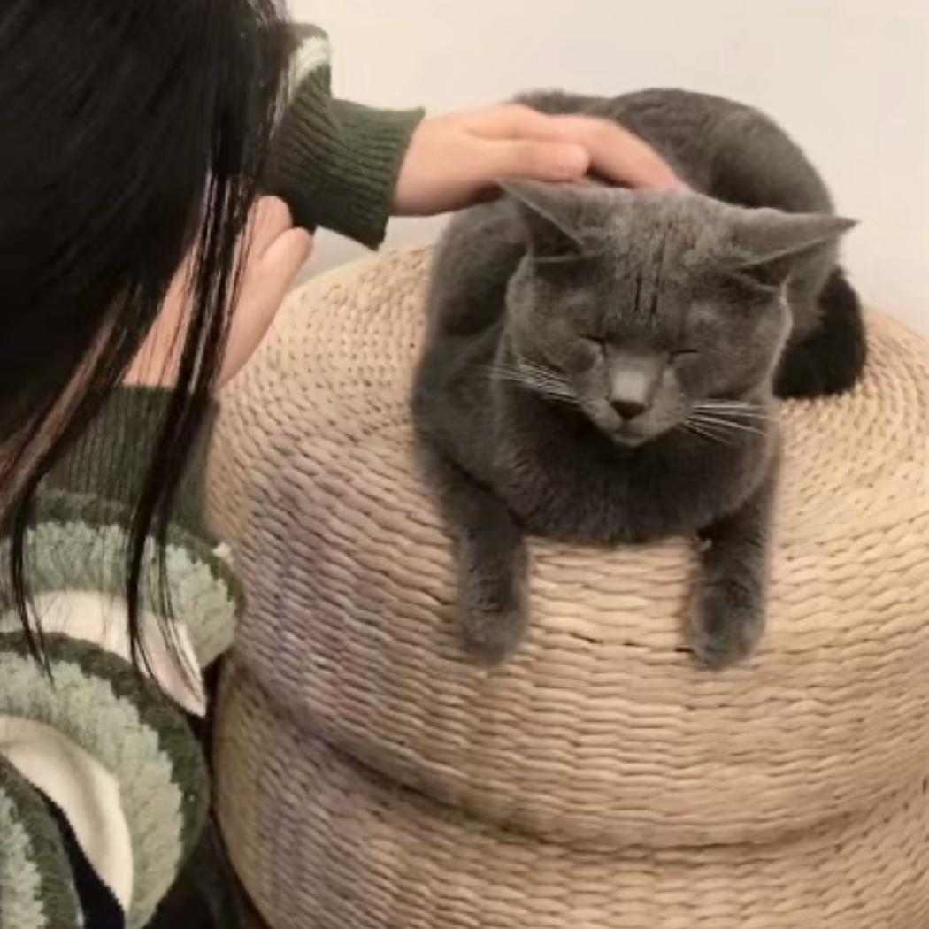 等你下课