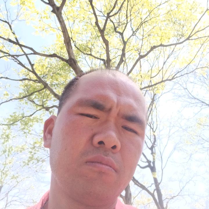 张夏禹3964597660223