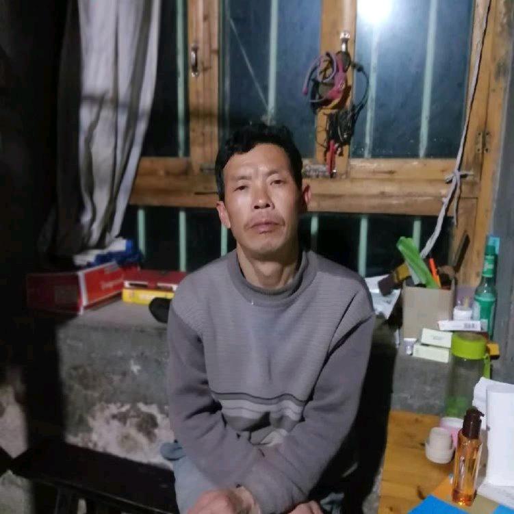 老杨