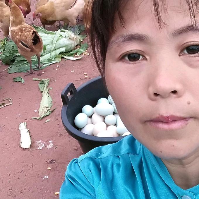 散养土鸡李氏