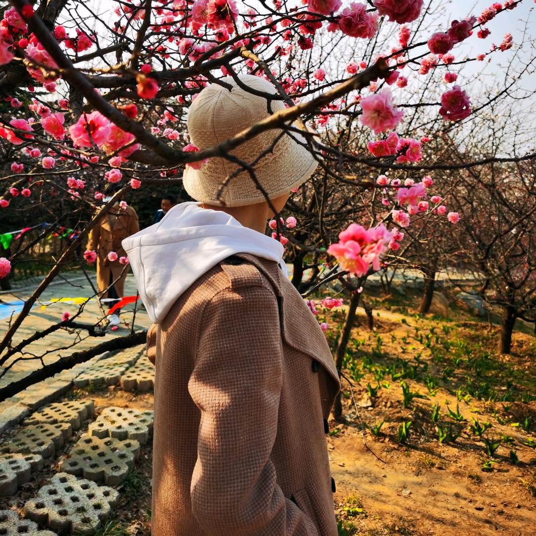 杰杰兔