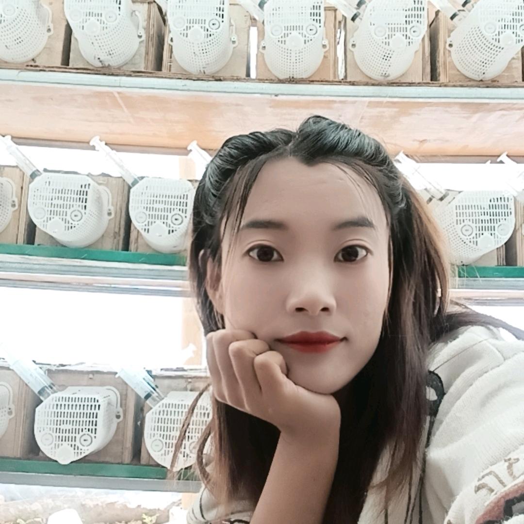 郭大寨胡蜂养殖基地