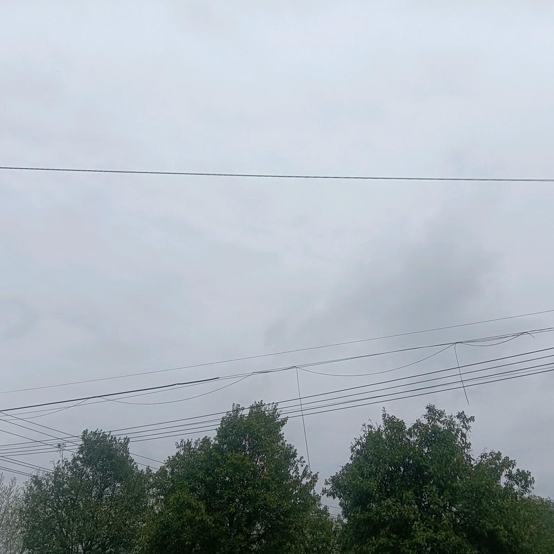 面多多