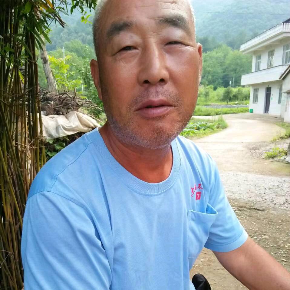 贺义法