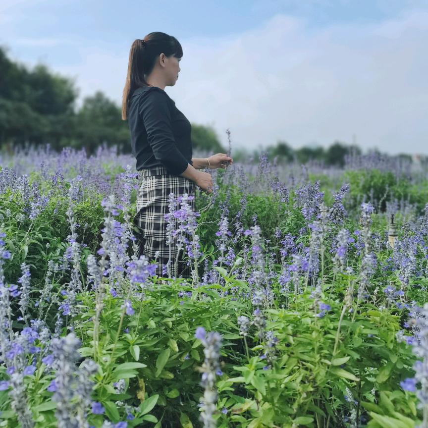 💝💝相信💝💝