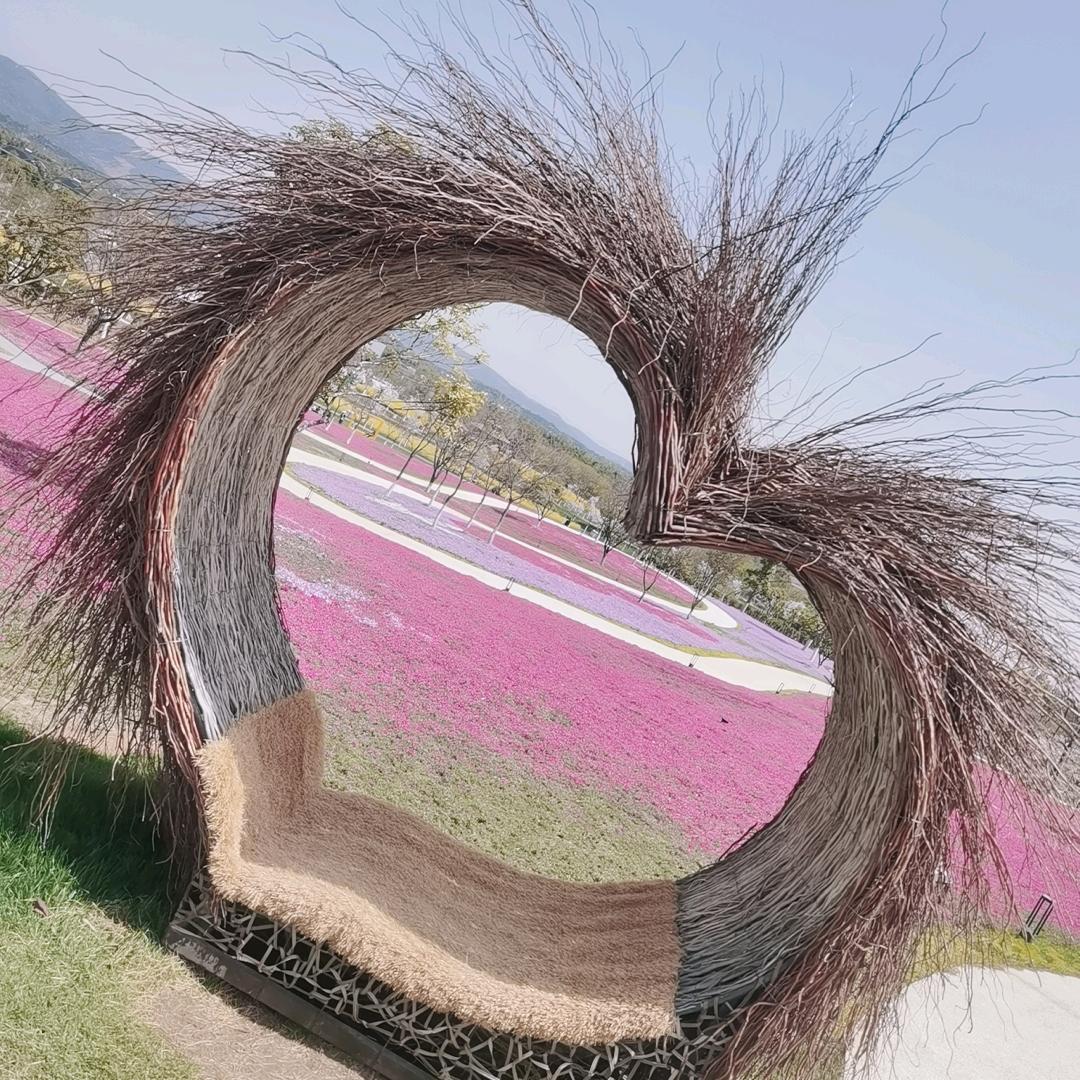 洋溢