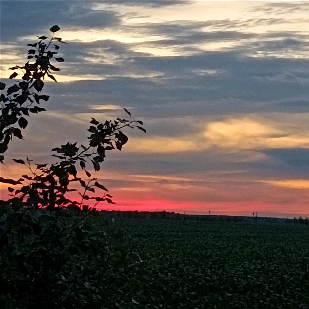 Zhao😱😱😱😱