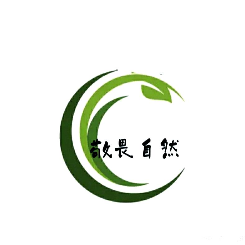 （寻人飞虎队)敬畏自然