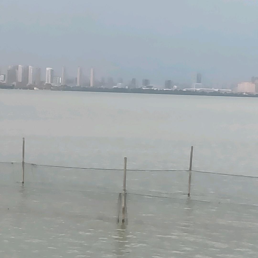 O2往事随风