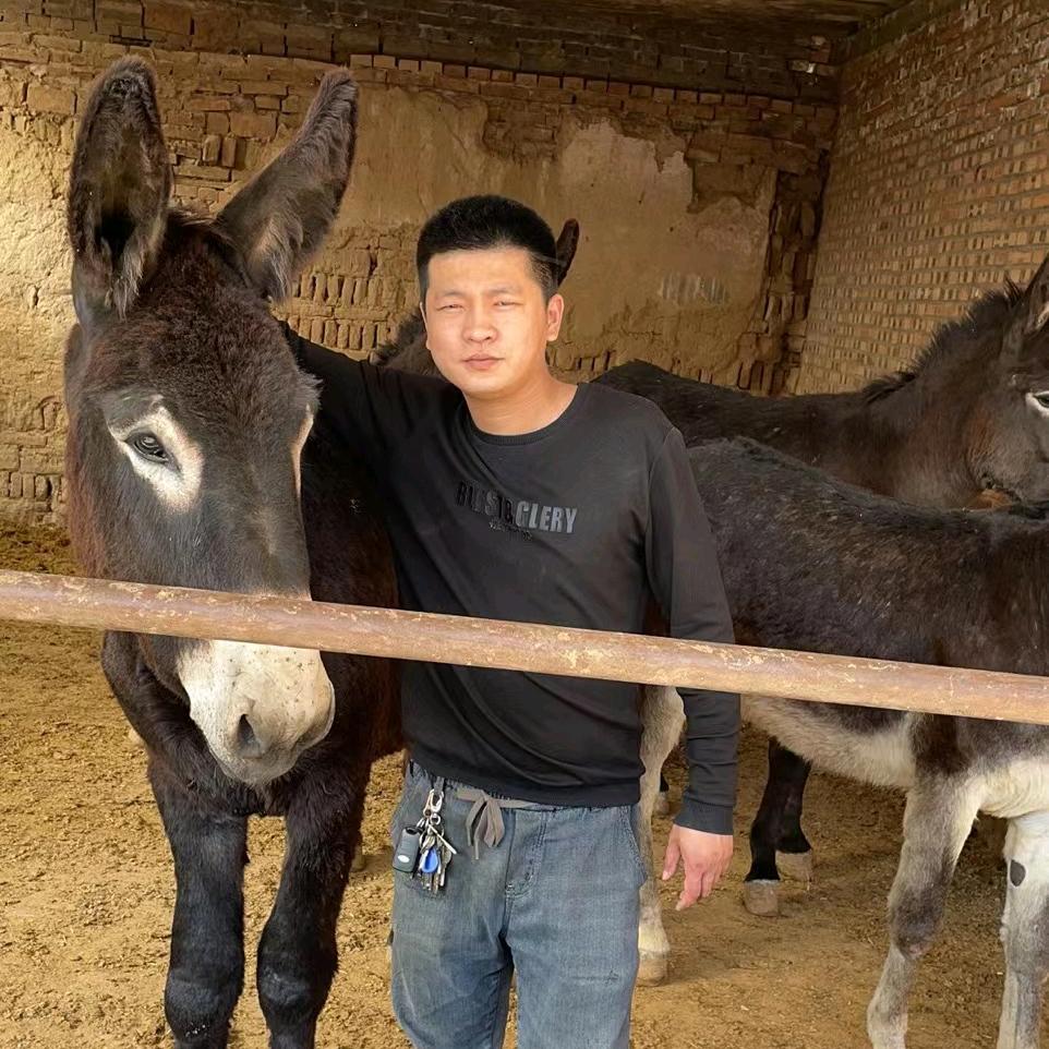 深州宏迪食品贸易有限公司