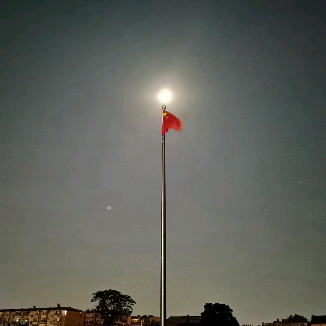 陈大帅