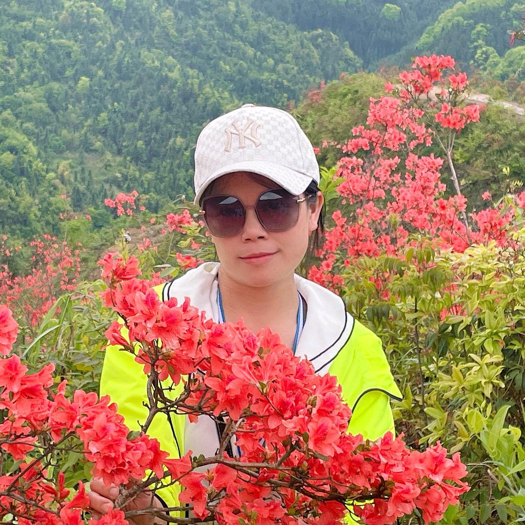 仙人掌🌵分享