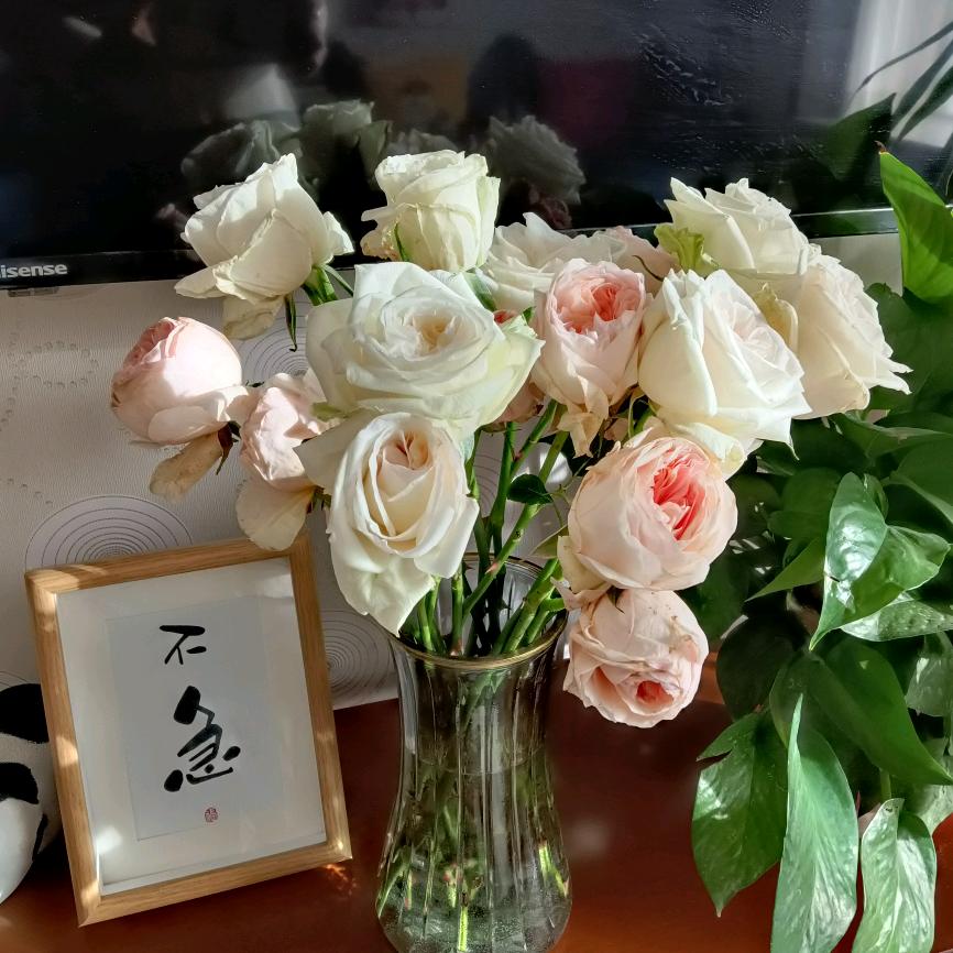 黄小仙