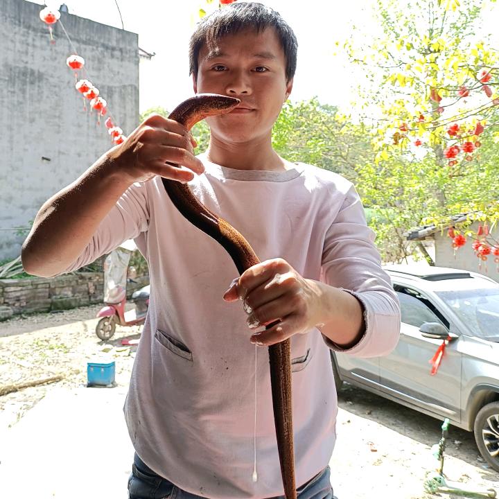 钓鳝牙签哥