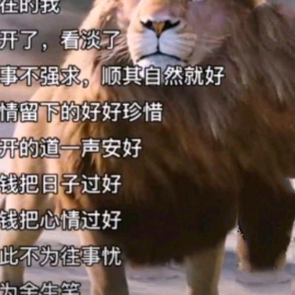 篮天上的雄鹰