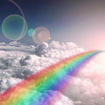 静心修心圆芯（芯）