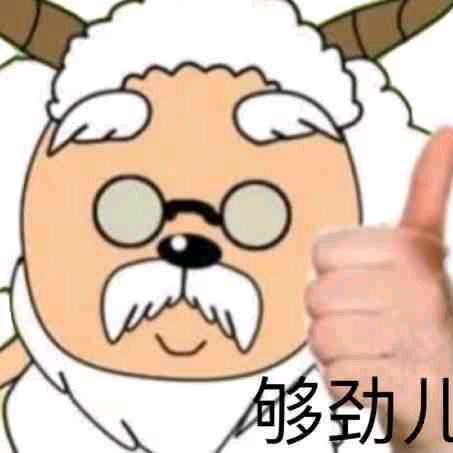 毛毛不说废话