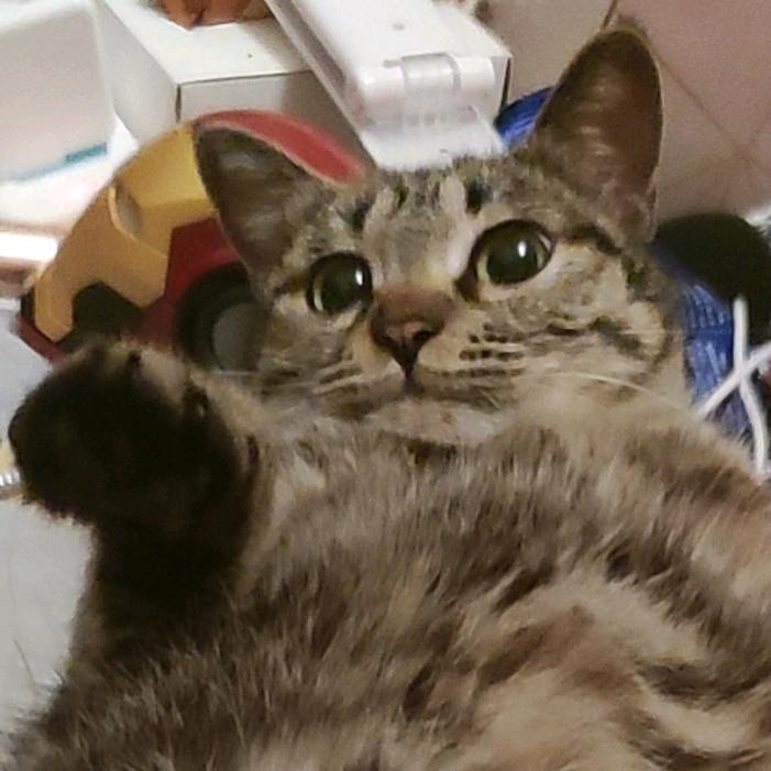 闻笙